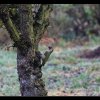 20141130_083